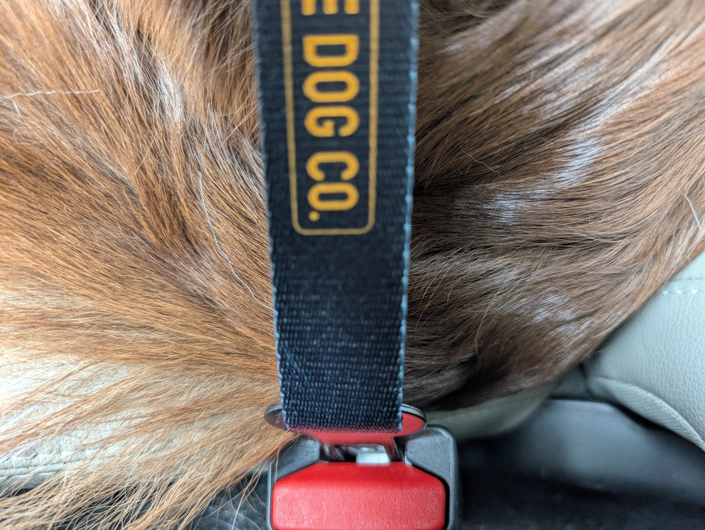 "The Seatbelt" Dog Car Leash