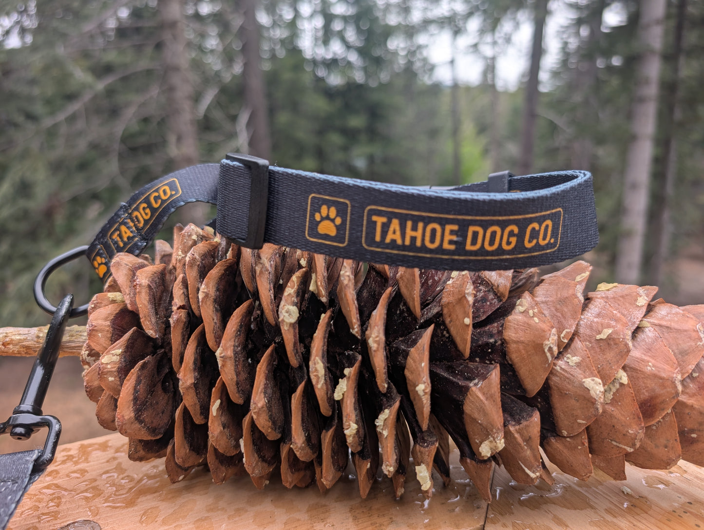 "The Martingdale" Dog Collar