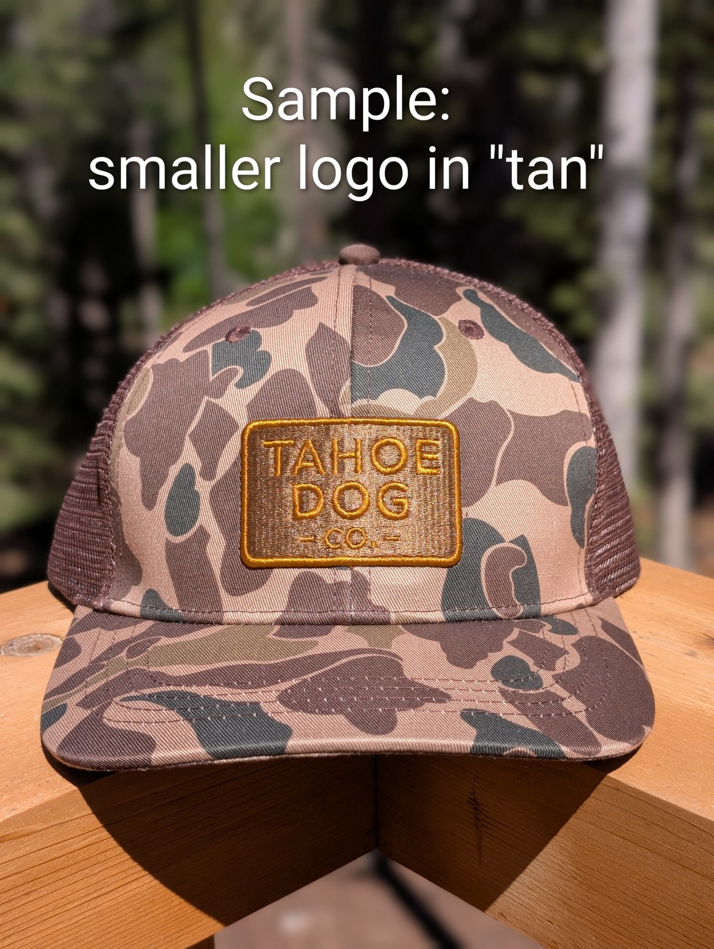 "The Rex" Hat