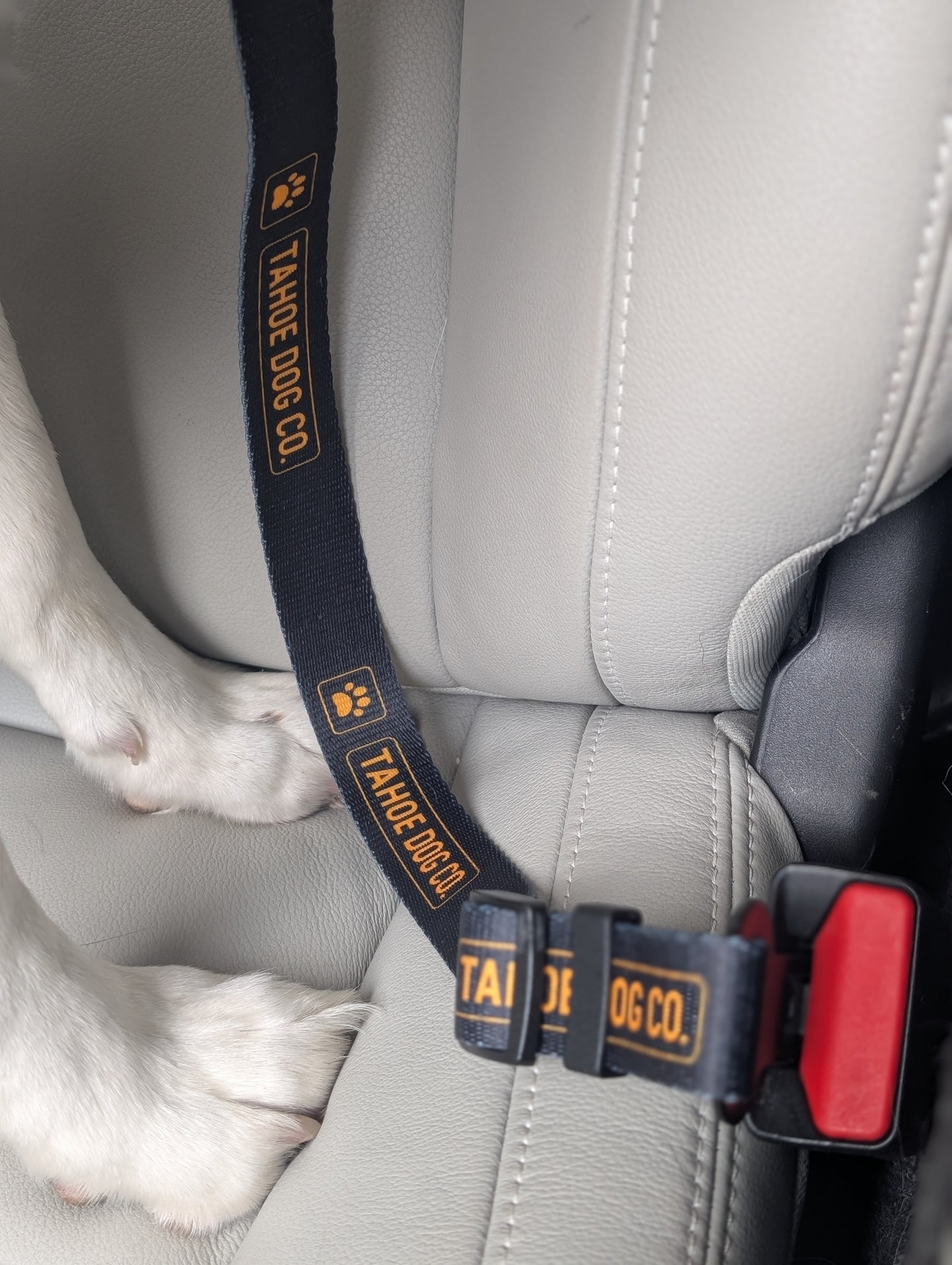 "The Seatbelt" Dog Car Leash