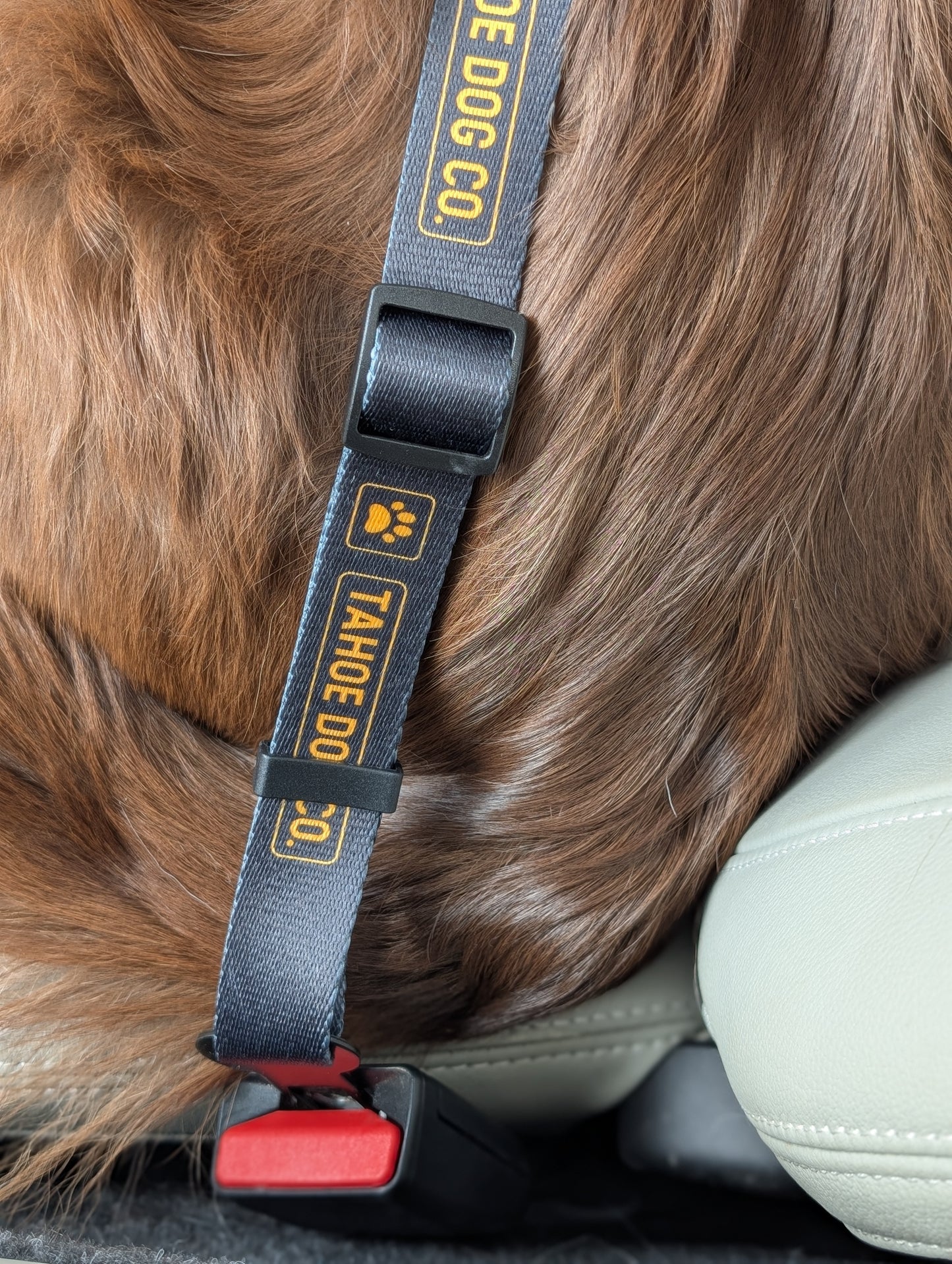 "The Seatbelt" Dog Car Leash
