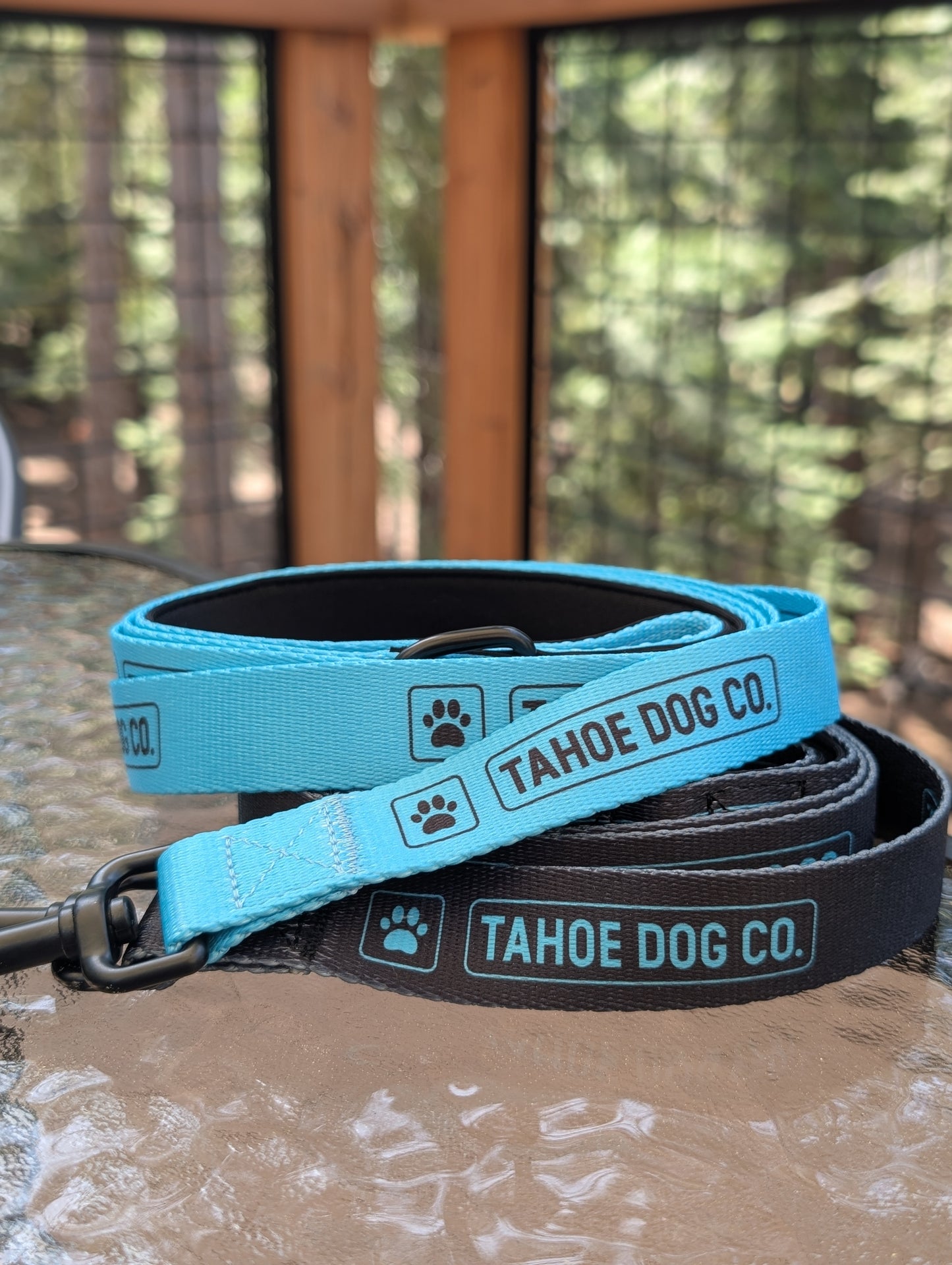 "Humane Society Special Edition" Dog Leash