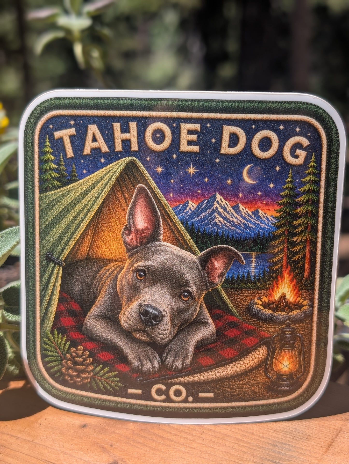 Tahoe Dog Co. sticker featuring Callaluna, a Blue Staffy camping beside a tent in Desolation Wilderness near Lake Tahoe