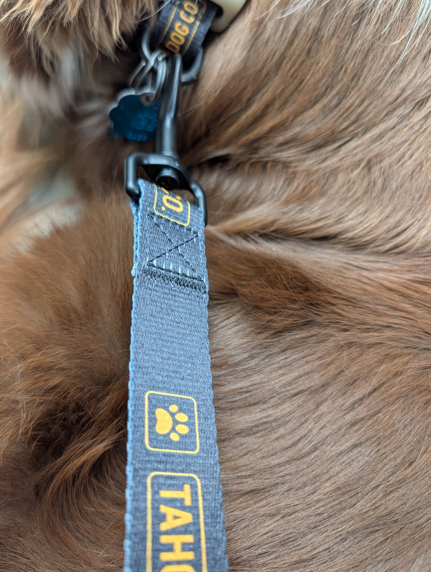 "The Seatbelt" Dog Car Leash