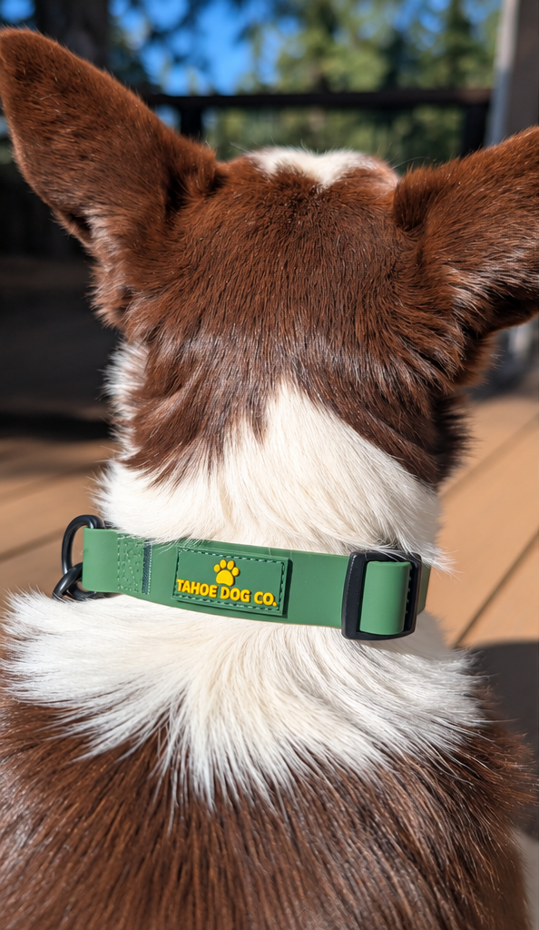 Pine Green Waterproof Dog Collar