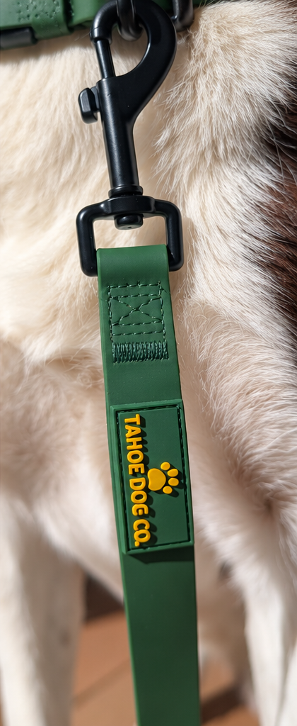 Pine Green Waterproof Dog Leash